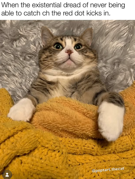 When the existential dread of never being able to catch ch the red dot kicks in. Gpoptart.thecat