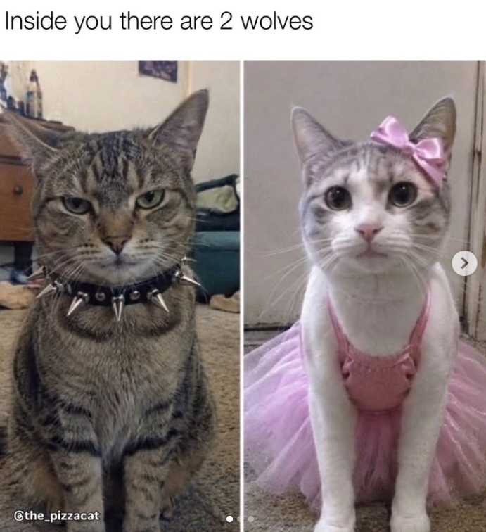 Inside you there are 2 wolves the_pizzacat >