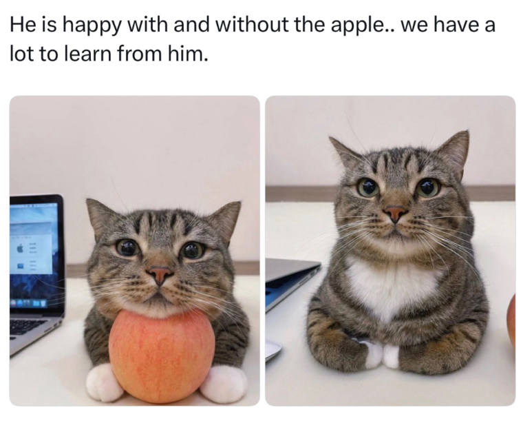 He is happy with and without the apple.. we have a lot to learn from him. 111 111