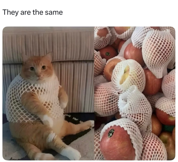 They are the same