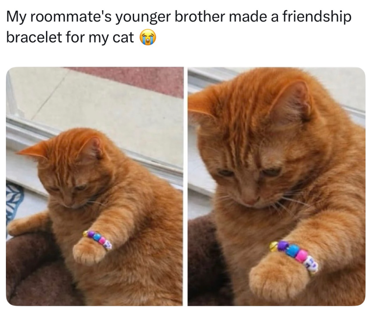 My roommate's younger brother made a friendship bracelet for my cat