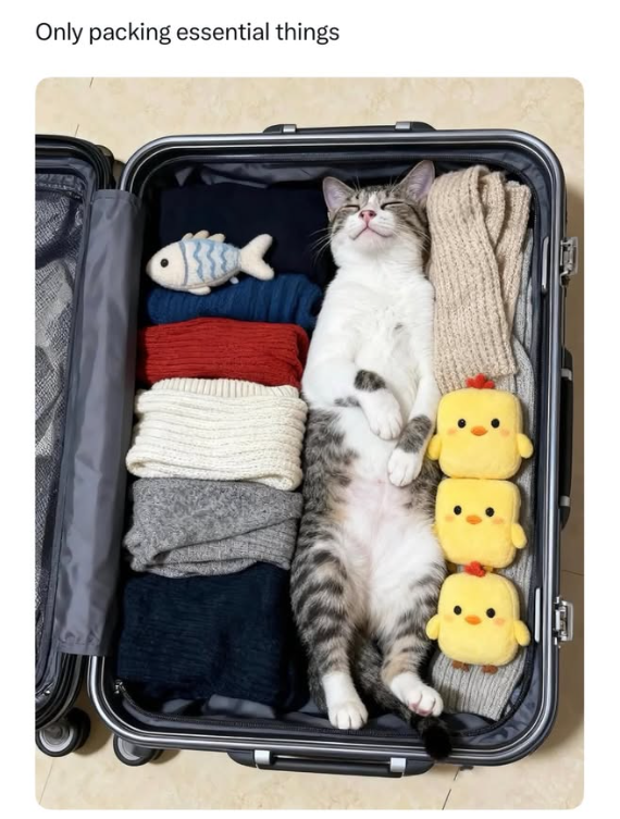 Only packing essential things