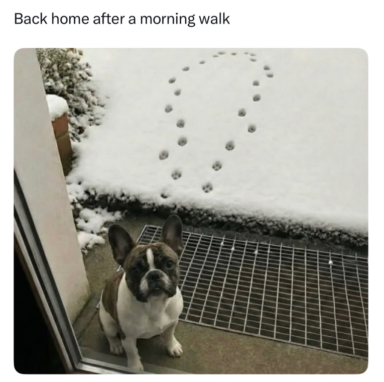 Back home after a morning walk