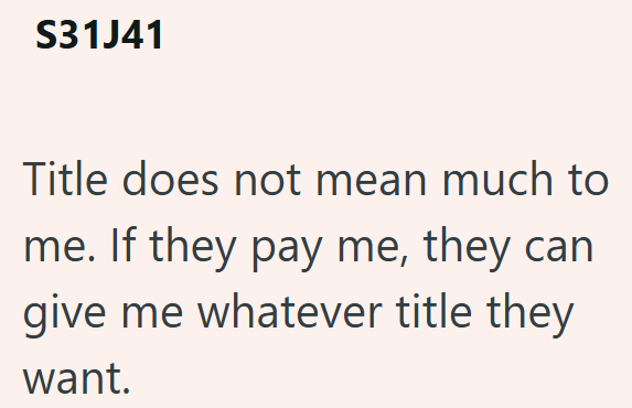 S31J41 Title does not mean much to me. If they pay me, they can give me whatever title they want.