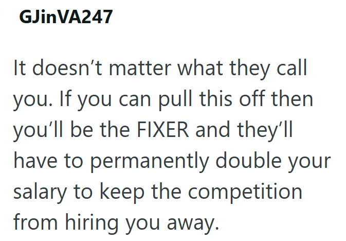 GJinVA247 It doesn't matter what they call you. If you can pull this off then you'll be the FIXER and they'll have to permanently double your salary to keep the competition from hiring you away.