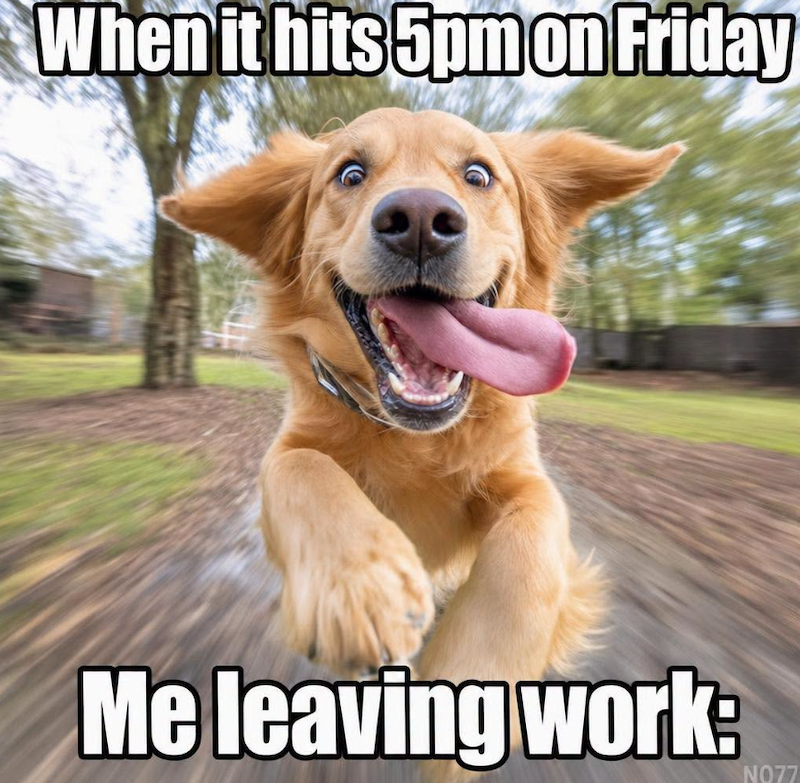 When it hits 5pm on Friday Me leaving work: N077