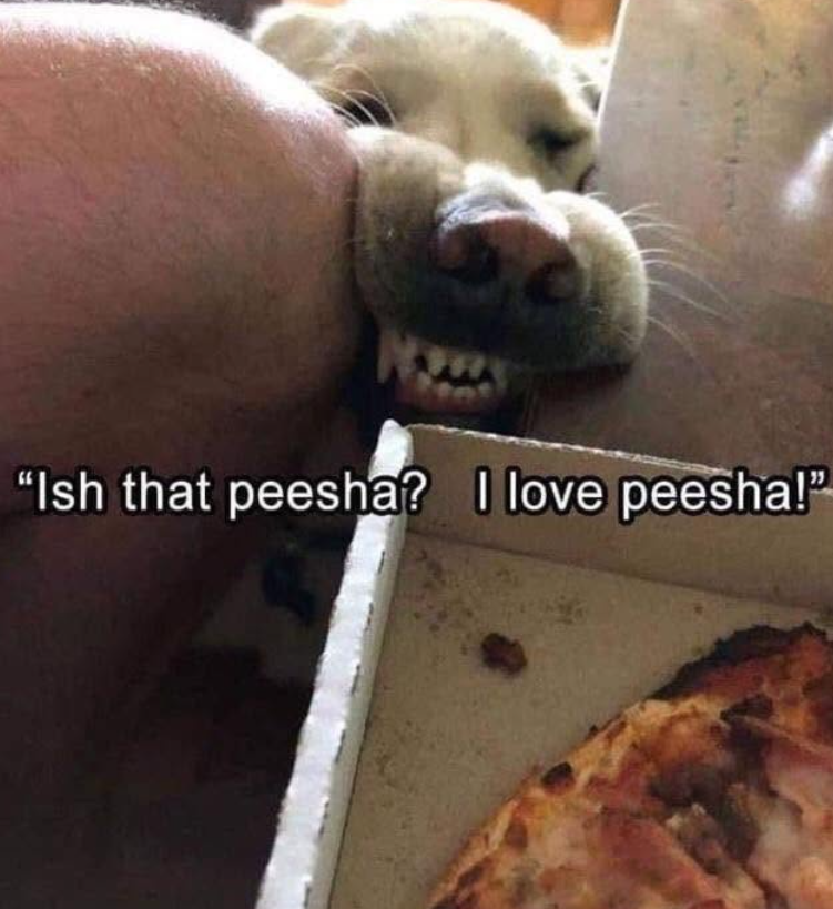 "Ish that peesha? I love peesha!"