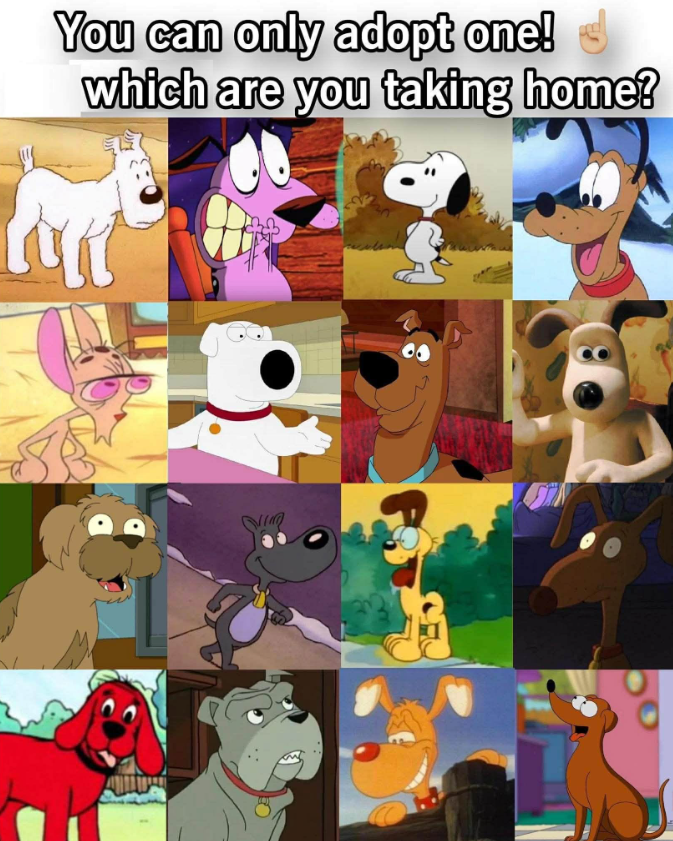 You can only adopt one! which are you taking home?