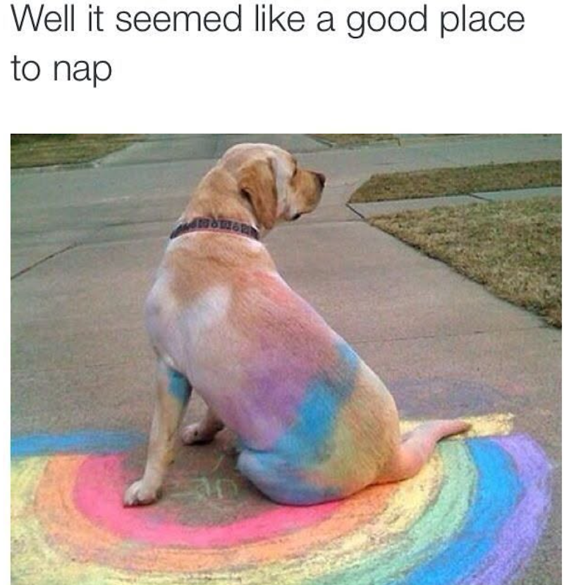 Well it seemed like a good place to nap