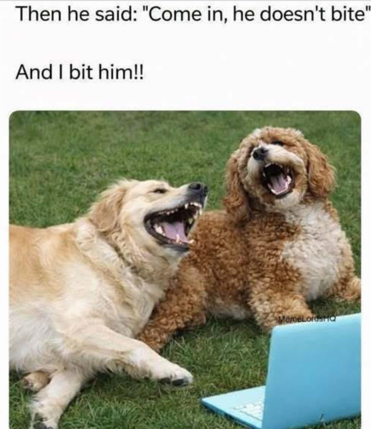 Then he said: "Come in, he doesn't bite" And I bit him!! MemelordsHo