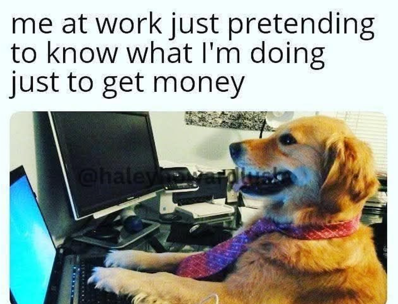 me at work just pretending to know what I'm doing just to get money @haleyna