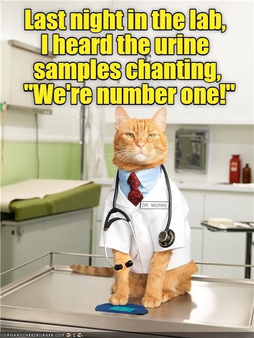 Last night in the lab, I heard the urine samples chanting, "We're number one!" ICANHASCHEEZBURGER.COM DR. MORRIS