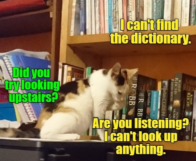 FREE RVING Irvine Wels I can't find the dictionary. ANNE HAR LAM Did you try looking upstairs? ROCH KATHY REICHS KATHY REICHS KATHY REICHS MON MOUR VO Tarlan COBEN LISA GARDNER Ne Gin I R BB ROBB REST Are you listening? I can't look up anything.