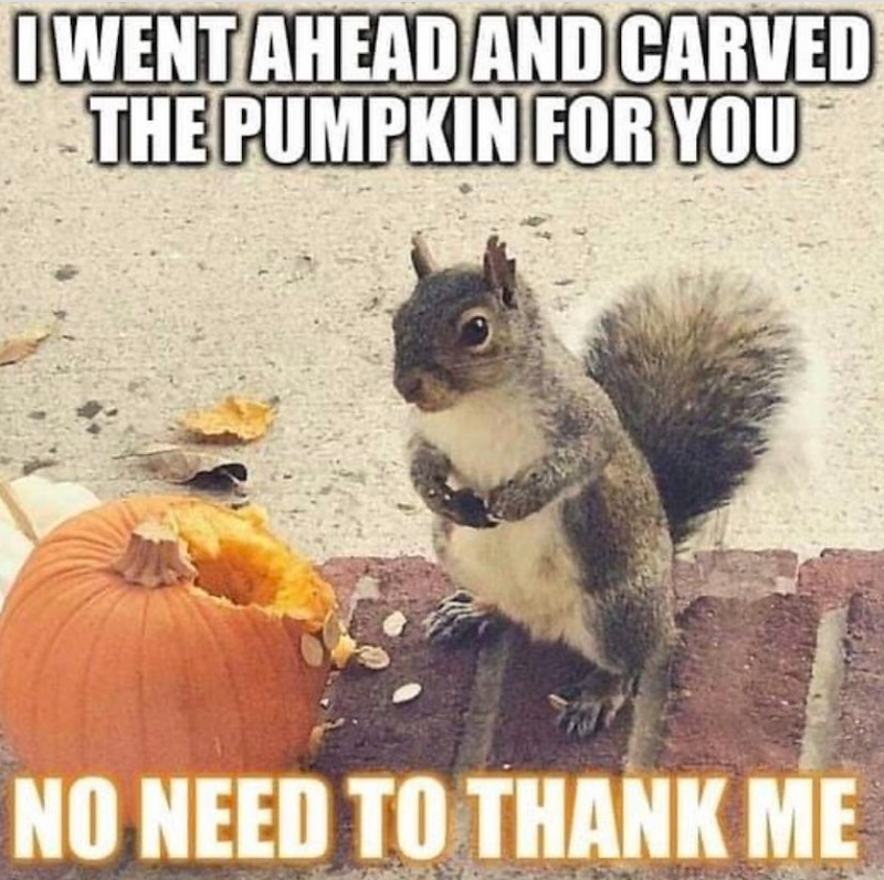I WENT AHEAD AND CARVED THE PUMPKIN FOR YOU NO NEED TO THANK ME