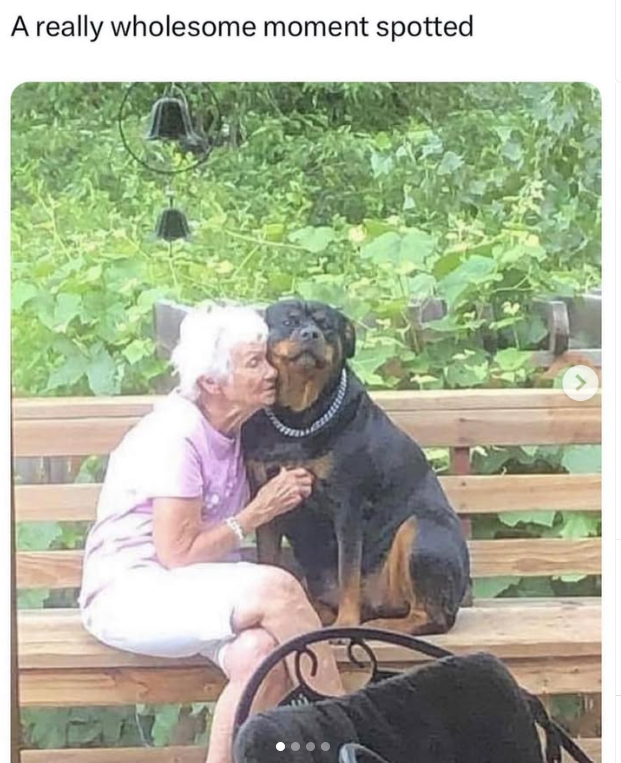 A really wholesome moment spotted >