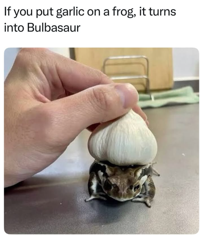 If you put garlic on a frog, it turns into Bulbasaur