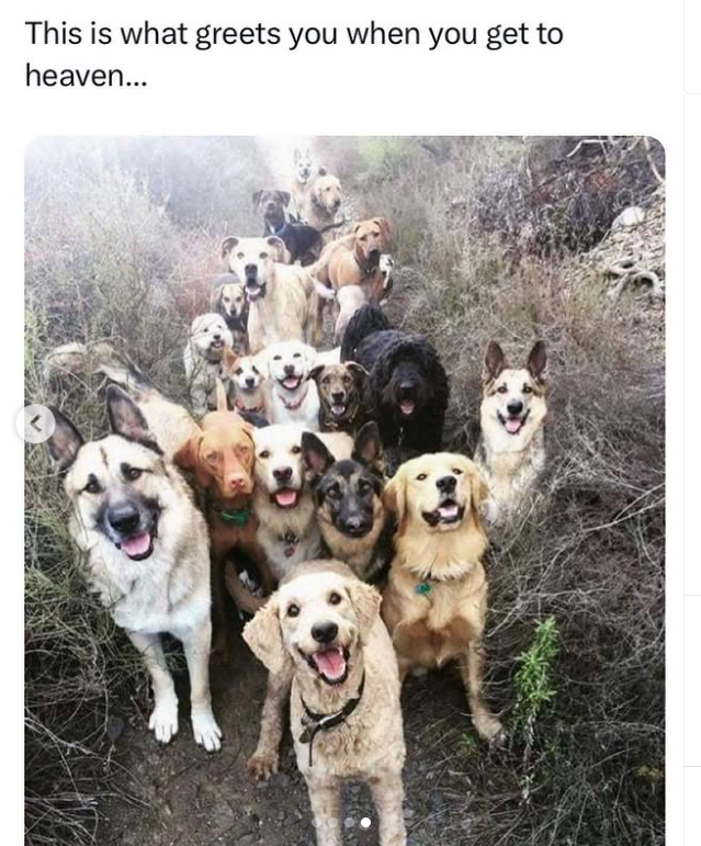 This is what greets you when you get to heaven...