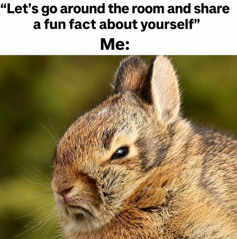 "Let's go around the room and share a fun fact about yourself" Me: @We Are Nacre