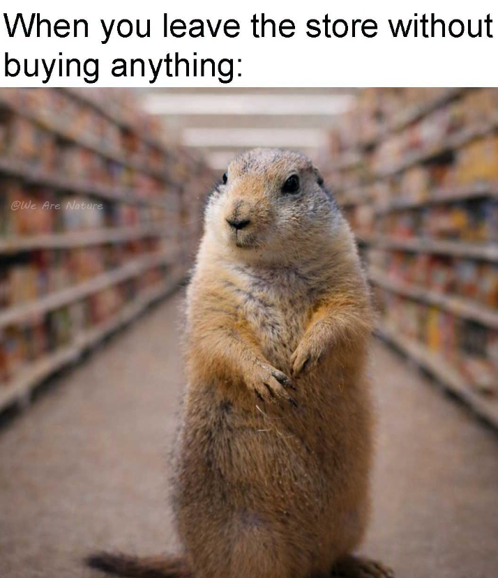 When you leave the store without buying anything: @We Are Nature