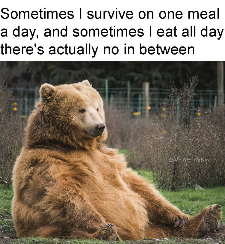 Sometimes I survive on one meal a day, and sometimes I eat all day there's actually no in between @We Are Nature
