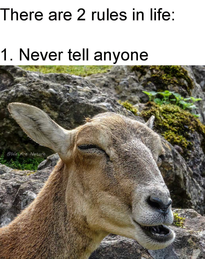 There are 2 rules in life: 1. Never tell anyone @We Are Nature