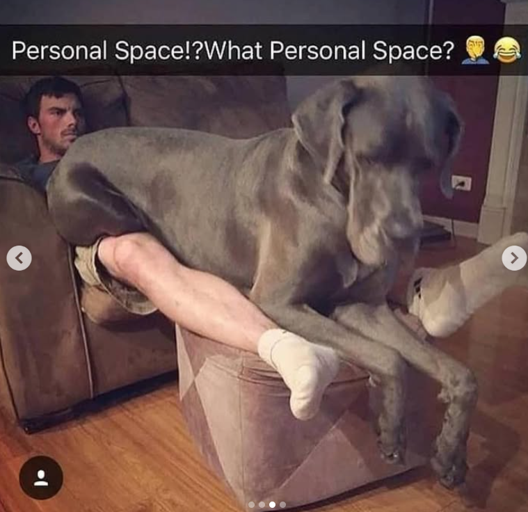 Personal Space!?What Personal Space? <