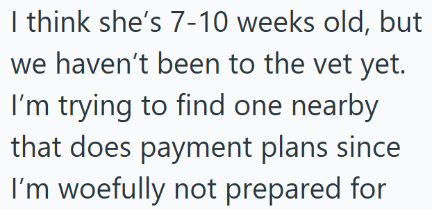 I think she's 7-10 weeks old, but we haven't been to the vet yet. I'm trying to find one nearby that does payment plans since I'm woefully not prepared for