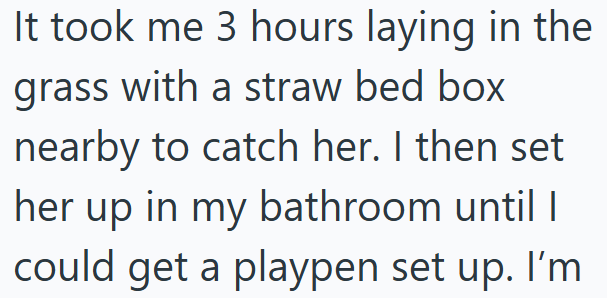 It took me 3 hours laying in the grass with a straw bed box nearby to catch her. I then set her up in my bathroom until I could get a playpen set up. I'm