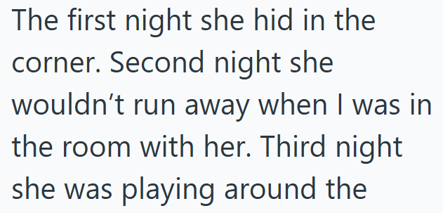 The first night she hid in the corner. Second night she wouldn't run away when I was in the room with her. Third night she was playing around the