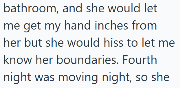 bathroom, and she would let me get my hand inches from her but she would hiss to let me know her boundaries. Fourth night was moving night, so she