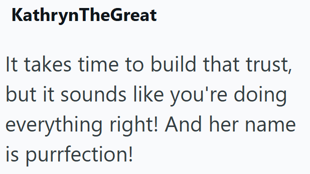 KathrynTheGreat It takes time to build that trust, but it sounds like you're doing everything right! And her name is purrfection!