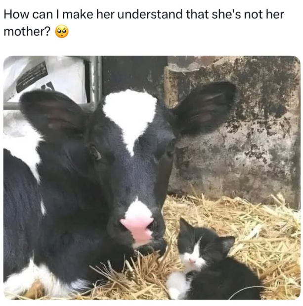 How can I make her understand that she's not her mother?