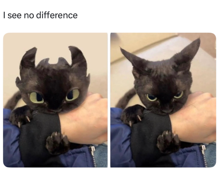I see no difference