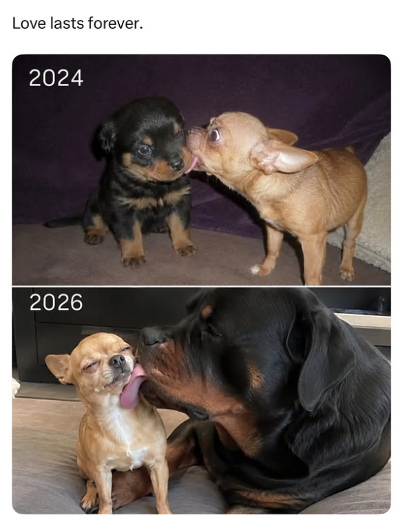 Love lasts forever. 2024 2026