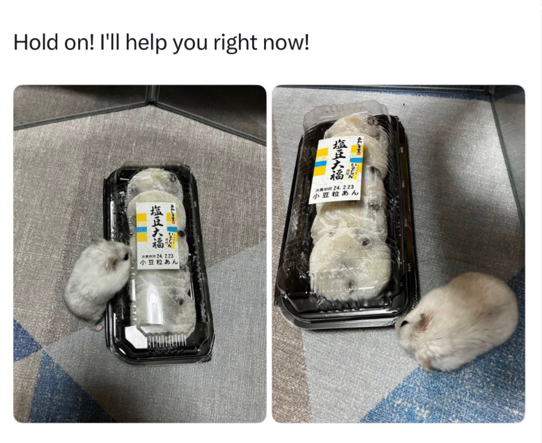 Hold on! I'll help you right now! 塩豆大福 0824.2.23 小豆粒あん 塩豆大福 0 mm 24.2.23 小豆粒あん