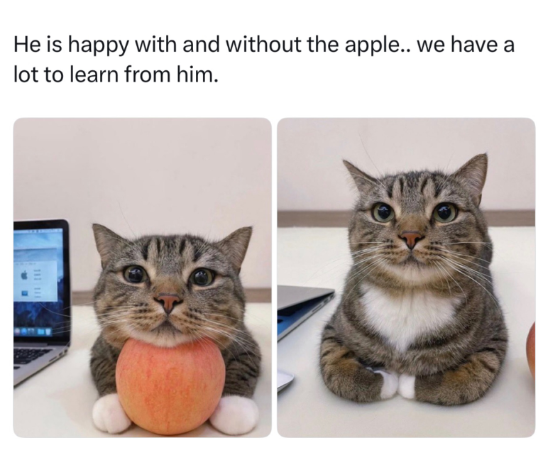He is happy with and without the apple.. we have a lot to learn from him. 111 111