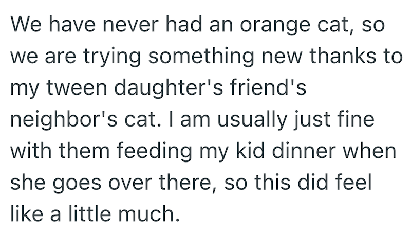 We have never had an orange cat, so we are trying something new thanks to my tween daughter's friend's neighbor's cat. I am usually just fine with them feeding my kid dinner when she goes over there, so this did feel like a little much.
