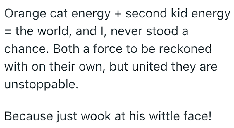 Orange cat energy + second kid energy = the world, and I, never stood a chance. Both a force to be reckoned with on their own, but united they are unstoppable. Because just wook at his wittle face!