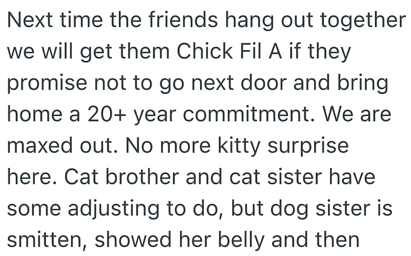 Next time the friends hang out together we will get them Chick Fil A if they promise not to go next door and bring home a 20+ year commitment. We are maxed out. No more kitty surprise here. Cat brother and cat sister have some adjusting to do, but dog sister is smitten, showed her belly and then.