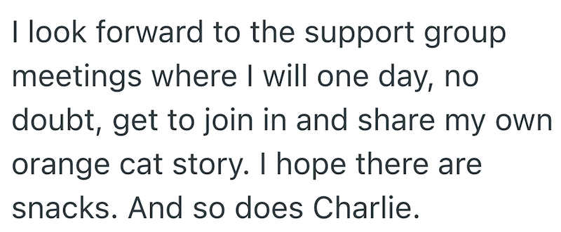 I look forward to the support group meetings where I will one day, no doubt, get to join in and share my own orange cat story. I hope there are snacks. And so does Charlie.