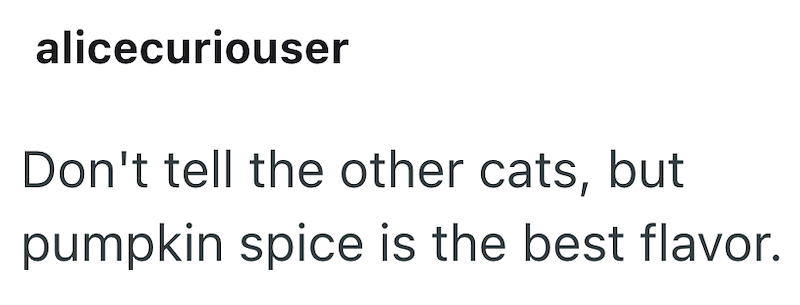 alicecuriouser Don't tell the other cats, but pumpkin spice is the best flavor.