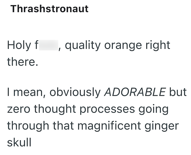 Thrashstronaut Holy f I quality orange right there. I mean, obviously ADORABLE but zero thought processes going through that magnificent ginger skull