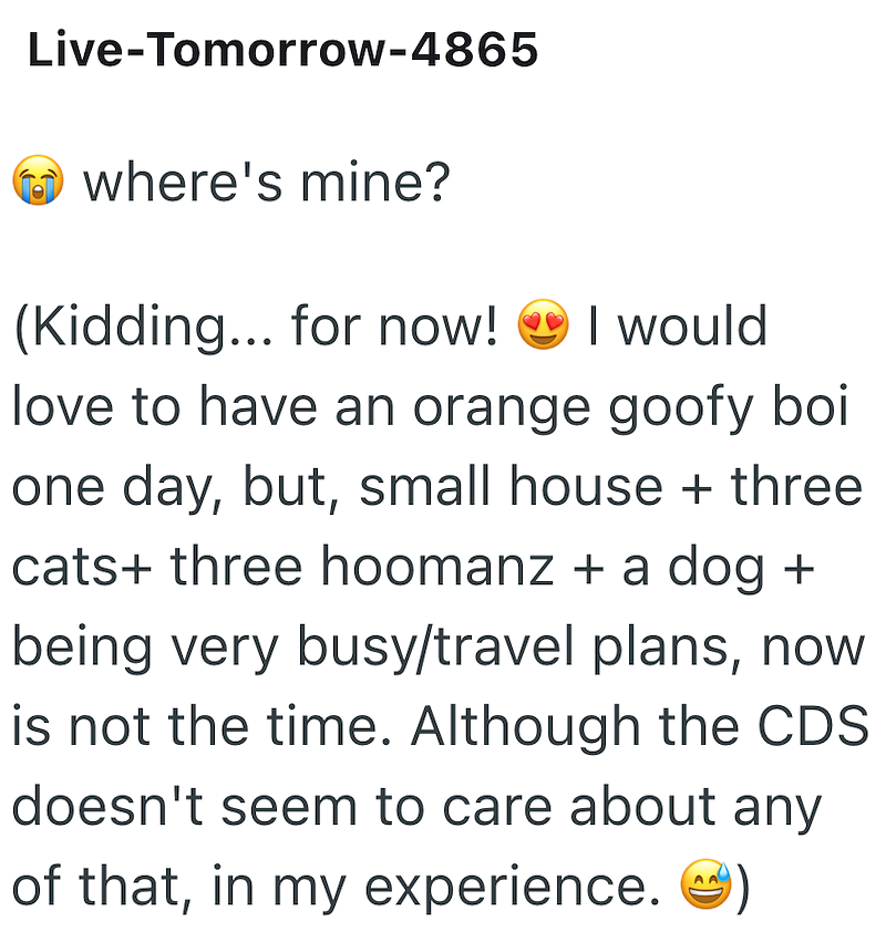 Live-Tomorrow-4865 where's mine? (Kidding... for now! I would love to have an orange goofy boi one day, but, small house + three cats+ three hoomanz + a dog + being very busy/travel plans, now is not the time. Although the CDS doesn't seem to care about any of that, in my experience.