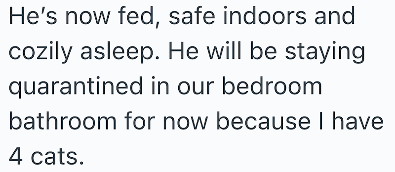 He's now fed, safe indoors and cozily asleep. He will be staying quarantined in our bedroom bathroom for now because I have 4 cats.