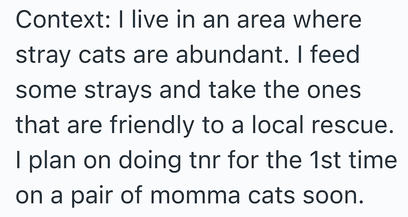 Context: I live in an area where stray cats are abundant. I feed some strays and take the ones that are friendly to a local rescue. I plan on doing tnr for the 1st time on a pair of momma cats soon.