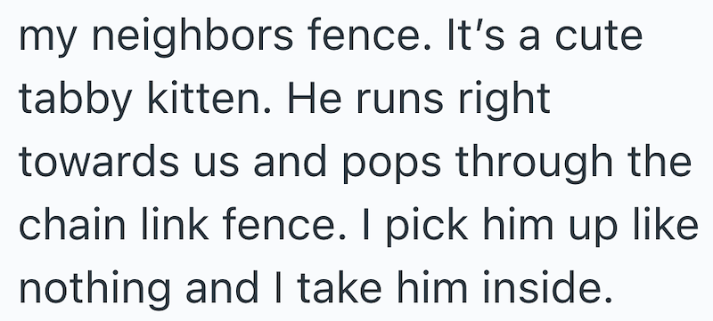 my neighbors fence. It's a cute tabby kitten. He runs right towards us and pops through the chain link fence. I pick him up like nothing and I take him inside.