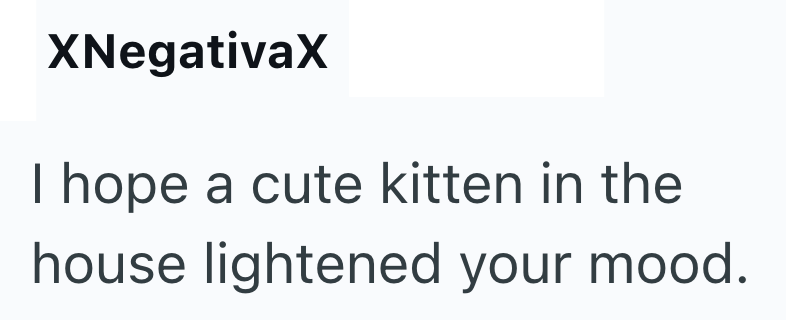 XNegativaX I hope a cute kitten in the house lightened your mood.