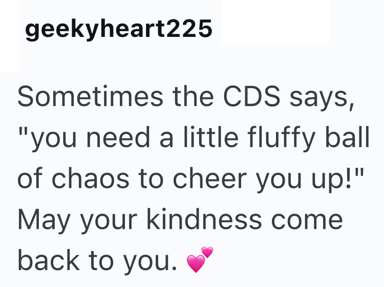 geekyheart225 Sometimes the CDS says, "you need a little fluffy ball of chaos to cheer you up!" May your kindness come back to you.