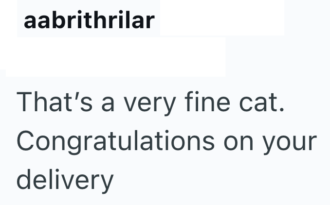 aabrithrilar That's a very fine cat. Congratulations on your delivery