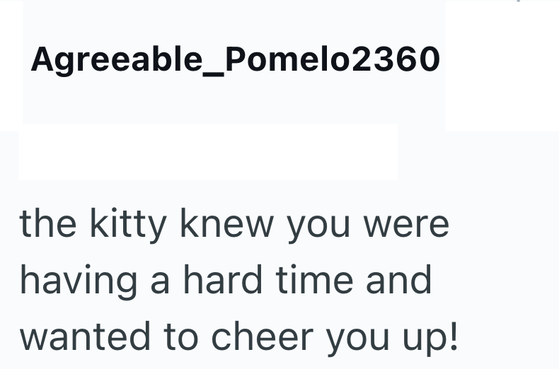 Agreeable_Pomelo2360 the kitty knew you were having a hard time and wanted to cheer you up!